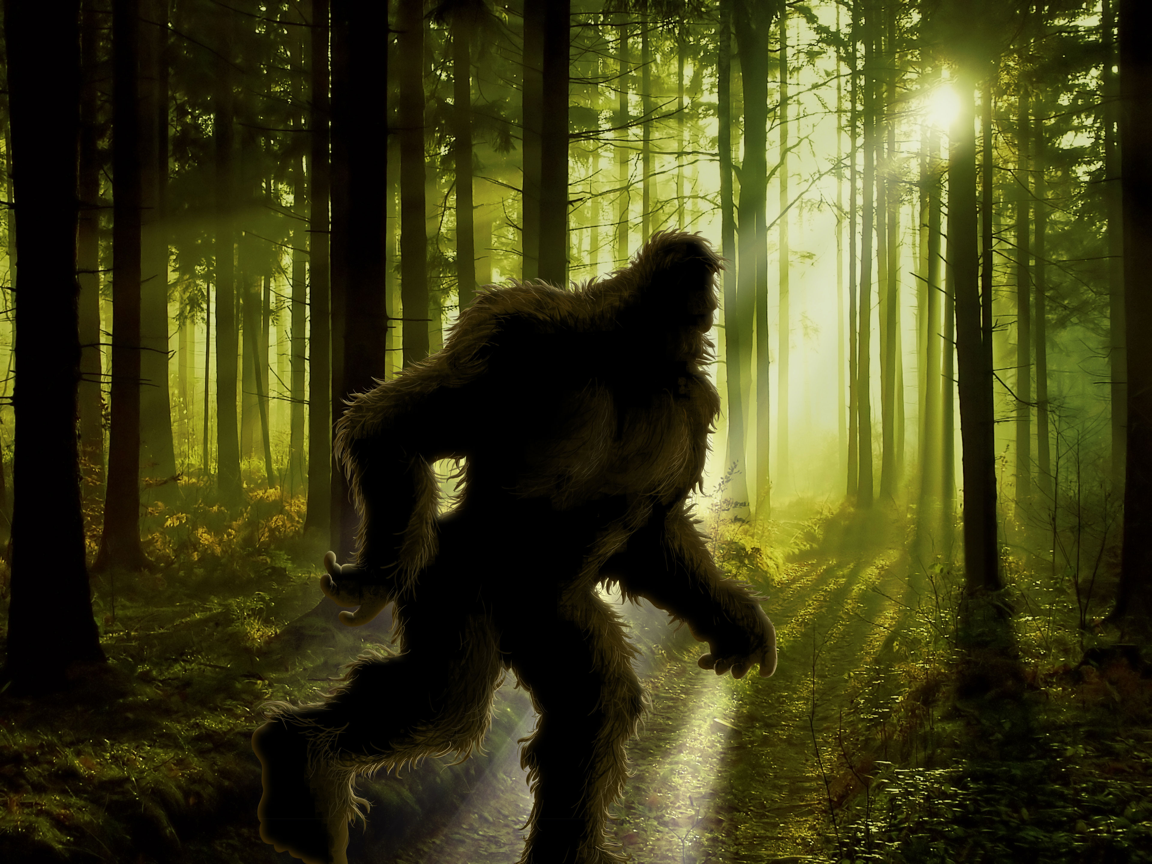 bigfoot-mystery-town-usa