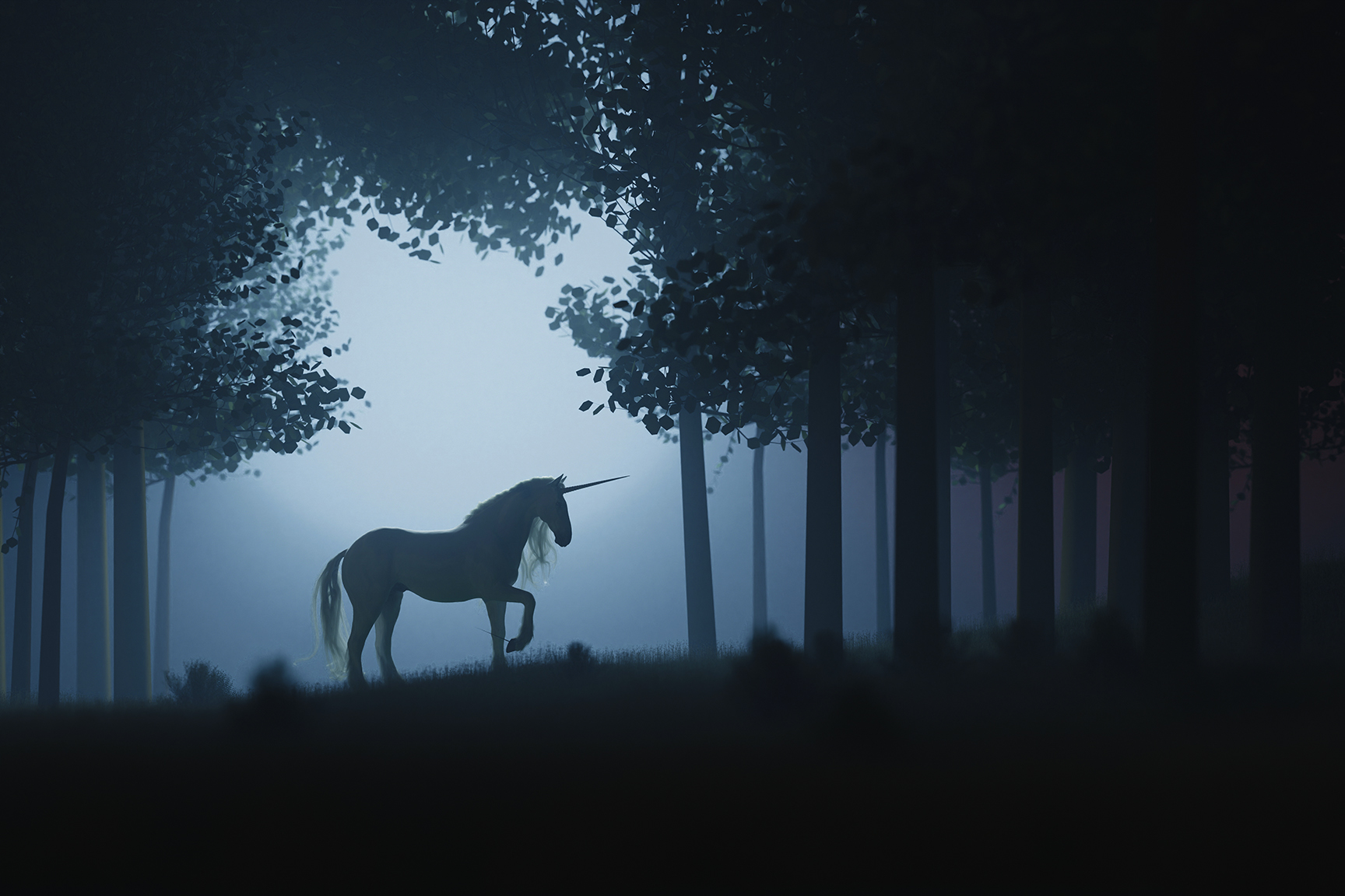 Unicorn forest mystery town usa